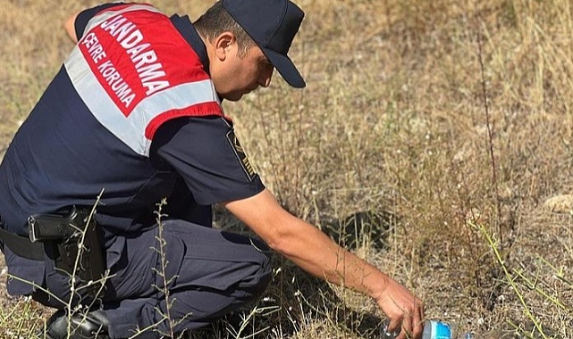 Jandarma ekipleri minik kaplumbağaya yardım etti
