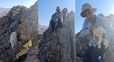 Kayalıklarda mahsur kalan kedi kurtarıldı