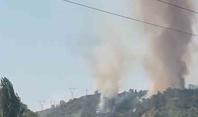Köyceğiz-Ortaca karayolunda orman yangını