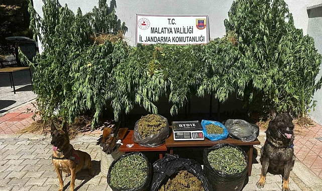 Malatya’da 11,5 kilogram kubar esrar ele geçirildi: 2 gözaltı