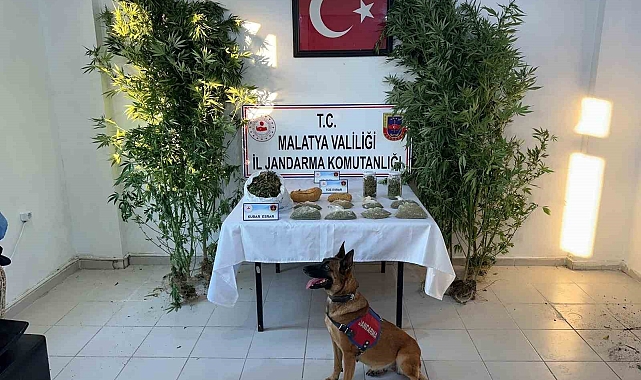 Malatya'da uyuşturucu operasyonu