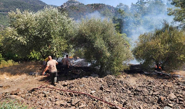 Marmaris’teki orman yangını büyümeden söndürüldü