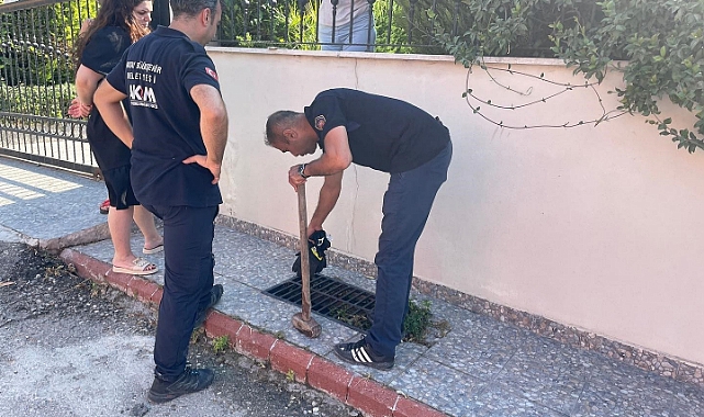 Mazgalda mahsur kalan köpeği itfaiye ekipleri kurtardı