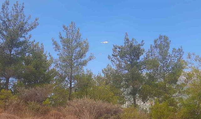 Mersin Bozyazı’da orman yangınına ekipler havadan ve karadan müdahale ediyor