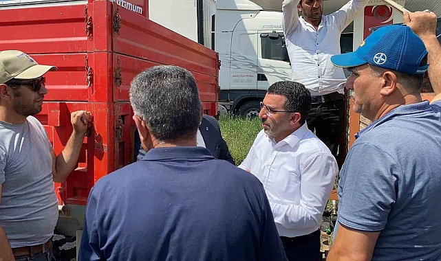Milletvekili Çalkın, TMO alımlarını yerinde inceledi