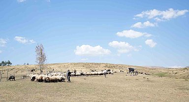Muş Kadınları Yaylada Hayat Mücadelesi Veriyor