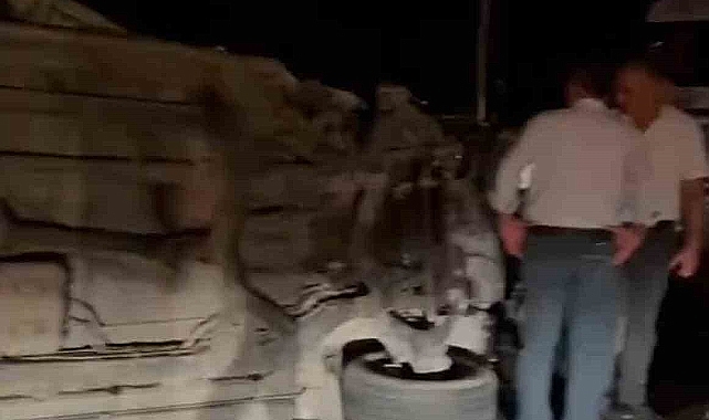 Muş'ta trafik kazası: 2 yaralı