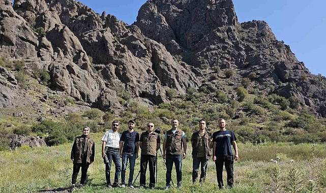 Oltu’da yaban keçileri sayıldı