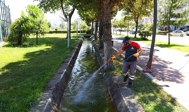 Ordu’da vektörlere karşı mücadele sürüyor