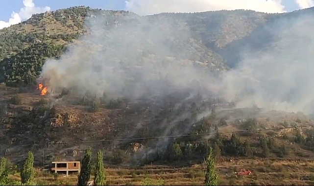 Orman yangını