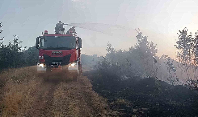 Orman yangınına müdahale devam ediyor