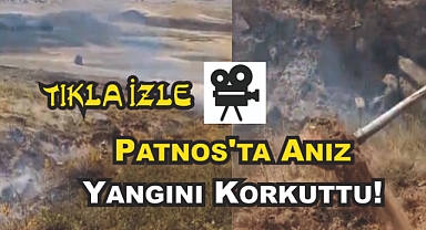 Patnos'ta Anız Yangını Korkuttu!