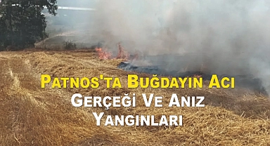 Patnos'ta Buğdayın Acı Gerçeği