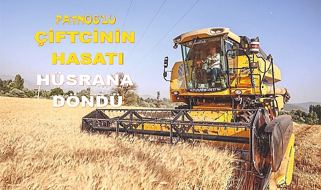 Patnos'ta Çiftçi Yine Umduğunu Alamadı
