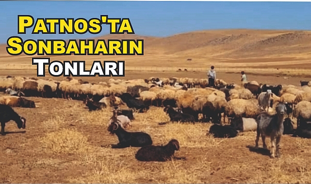 Patnos'ta Sonbaharın Tonları