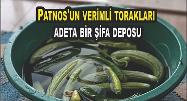 Patnos'un verimli torakları adeta bir şifa deposu