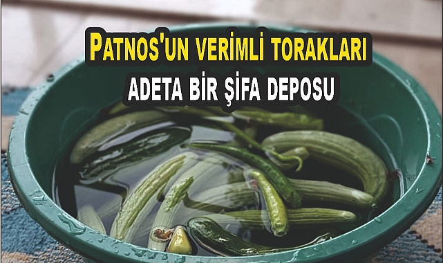 Patnos'un verimli torakları adeta bir şifa deposu