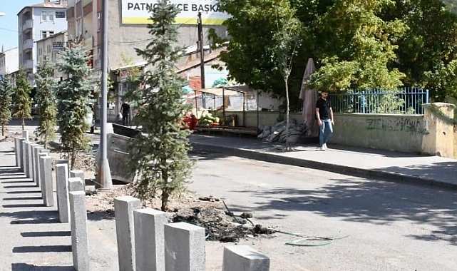 Patnos'ta yeşillendirme çalışmaları aralıksız devam ediyor