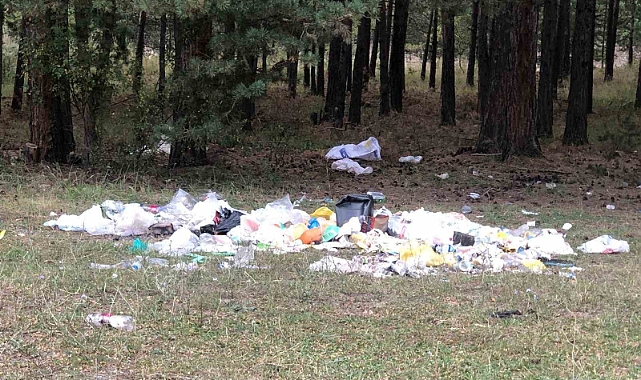 Piknikçiler Sarıkamış ormanını çöplüğe çevirdi