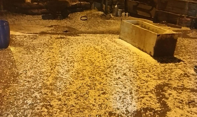 Sağanak yağış sele neden oldu
