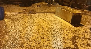 Sağanak yağış sele neden oldu