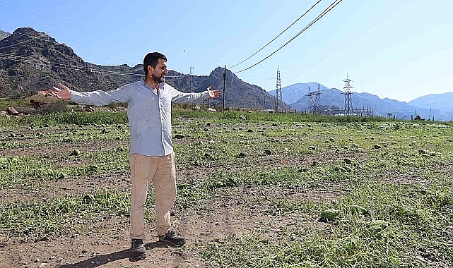 Sel karpuz tarlasını yerle bir etti