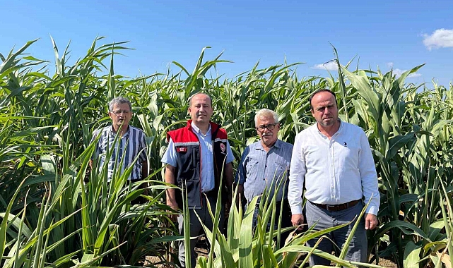 Silajlık Sorgum Projesi: Tekirdağ’da kuraklığa karşı tarımsal yenilikler incelendi