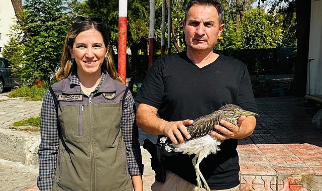 Şırnak’ta ’gece balıkçılı’ kuşu tedavi altına alındı