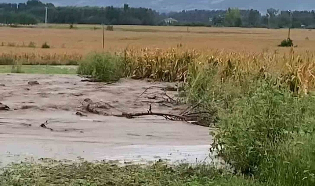 Su kanalı patladı, tarım arazileri su altında kaldı