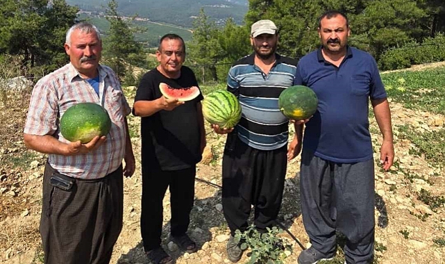 Tarsus’ta yerli tohuma ve üretime dönüş için çağrı