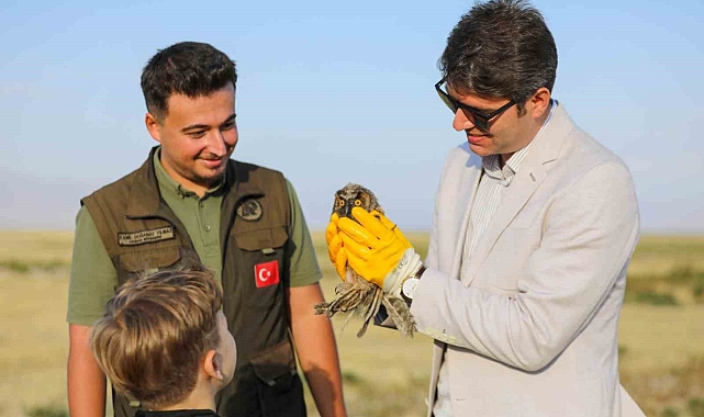 Tedavi edilen kuşlar doğal yaşam alanlarına bırakıldı