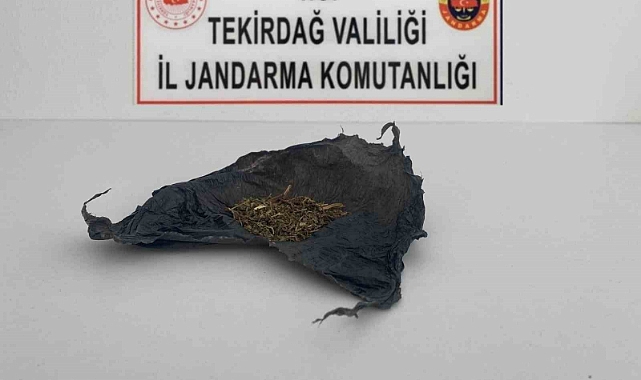Tekirdağ’da uyuşturucu operasyonları: Bonzai ve esrar ele geçirildi