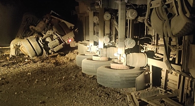 Tır devrildi Koyun yüklü onlarca koyun telef oldu