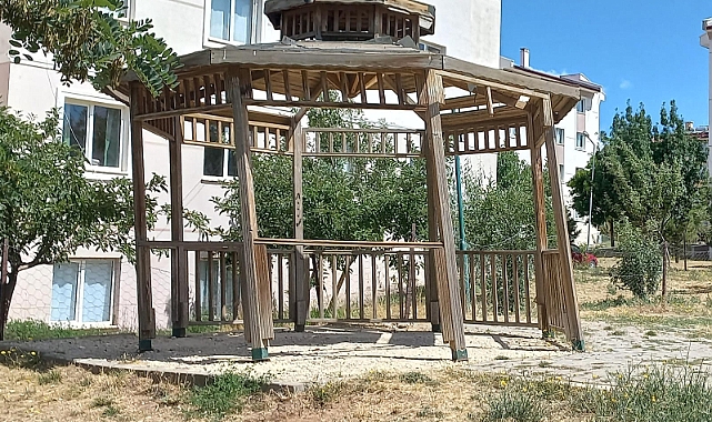 Tokide Kamelyalar Tehlike Saçıyor