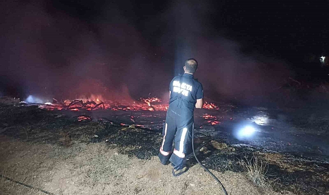 Tonlarca kayısı odunu yangında kül oldu
