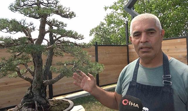 Toprak Dede’nin bonsai koleksiyonu müzede yaşatılıyor
