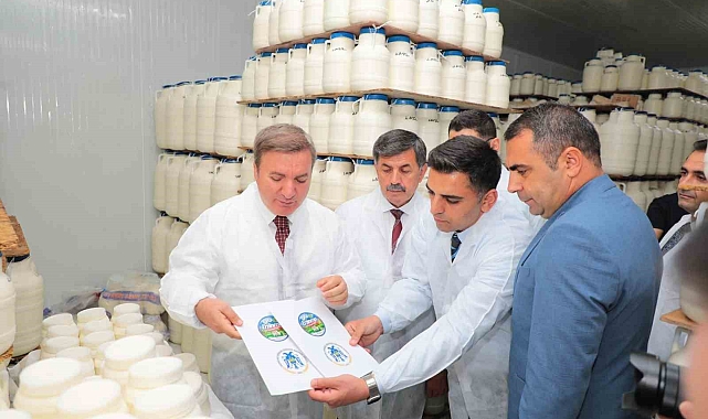 Tulum Peynirinin Satışının Artması İçin Yeni Adımlar