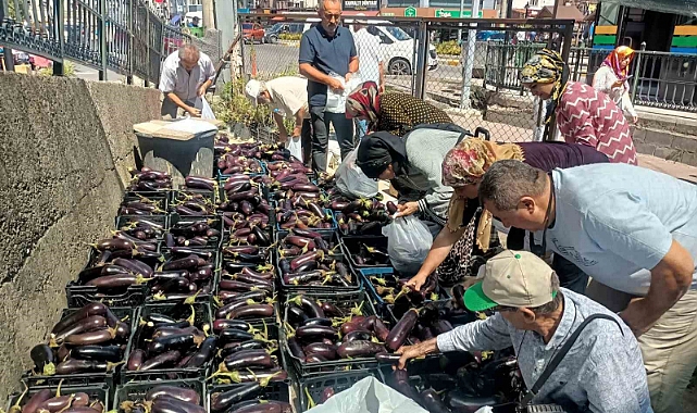 Üretim fazlası 5 ton patlıcanı yüzlerce kişiye bedava dağıttılar