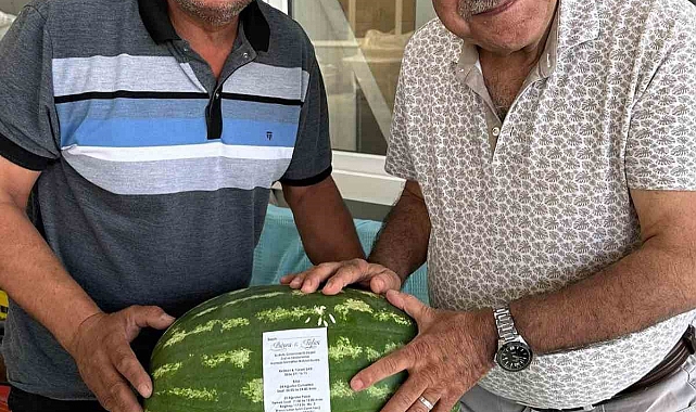 Ürettiği karpuz tarlada kalınca düğün davetiyesi olarak kullandı