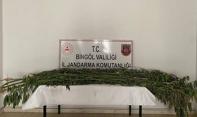 Uyuşturucu madde ele geçirildi