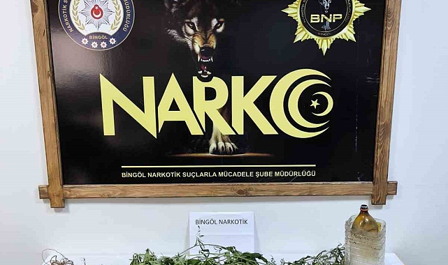 Uyuşturucu madde ve silah ele geçirildi