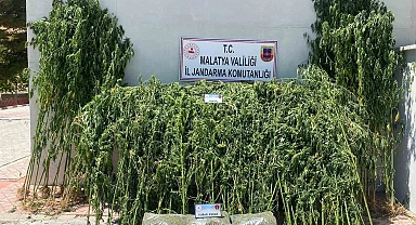 Uyuşturucu operasyonu