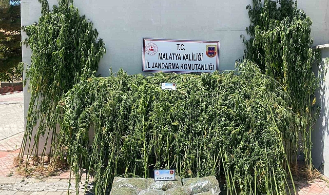 Uyuşturucu operasyonu