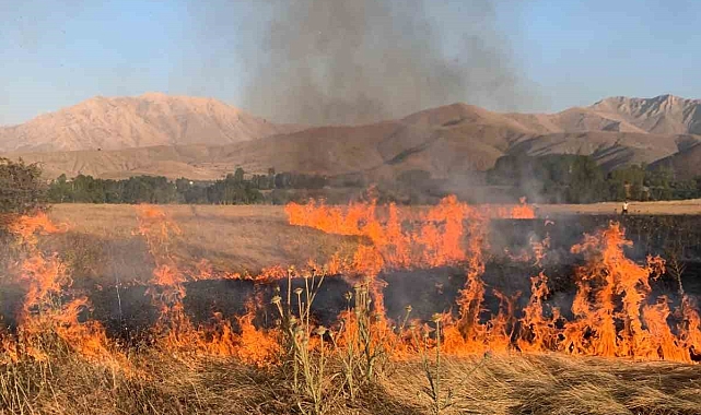 Van Gevaş'ta Ot Yangını