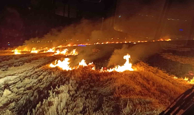 Van'da anız yangını