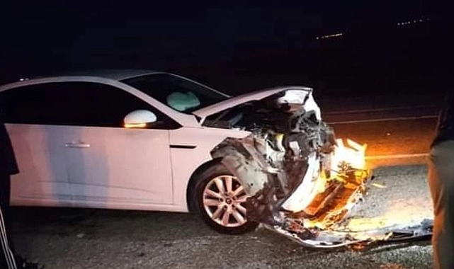 Van'da otomobil sürüye çarptı: 21 koyun telef oldu
