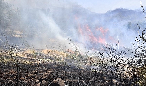 Yamanlar Dağı’nda çıkan yangınla mücadele sürüyor