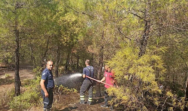 Yayladağı’nda örtü yangını