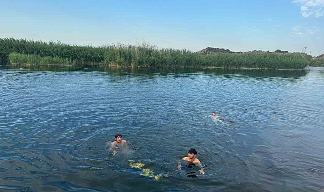 Yaz sıcağında serinlemek isteyenler soluğu Karasu Çayı'nda alıyorlar