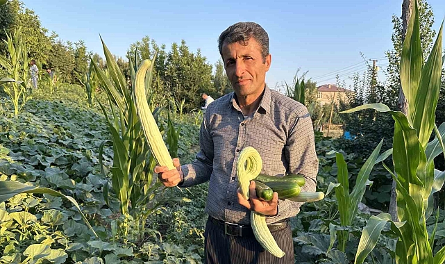 Yüksekova'da örnek çiftçi: A'dan Z'ye tüm ürünlere hayat verdi